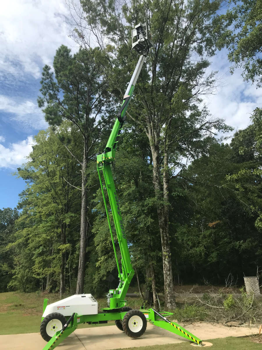 Brasher Tree Service Birmingham, AL