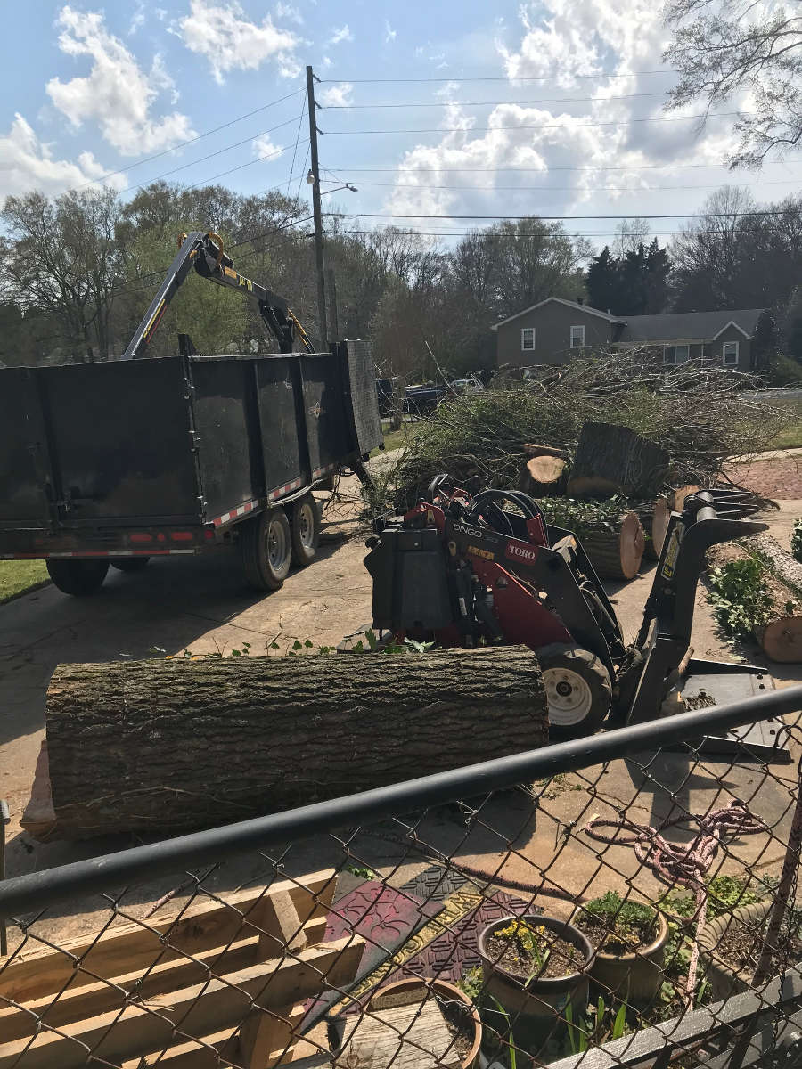 Brasher Tree Service Birmingham, AL